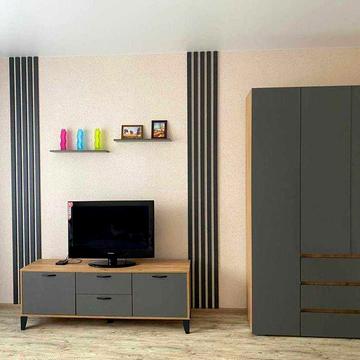 Оренда однокімнатної квартири у центрі