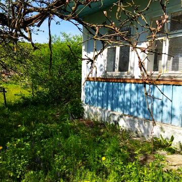 Господарство у с. Чорнівка