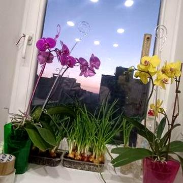 3х комнатная квартира Красный Камень ул. Савкина ремонт мебель техника