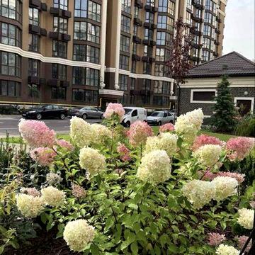 Продаж 3к квартири 75 м2 в ЖК Софія Резиденс ЖК  София Резиденс ЖК Софія Резиденс