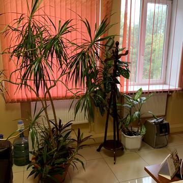 Михайлівська пл., 1