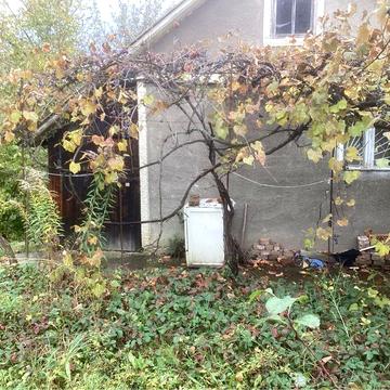 Здам в ореду дачний будинок