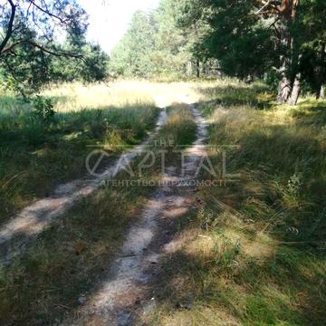 Рославичі, Обухівський, Київська область 520000.0 USD