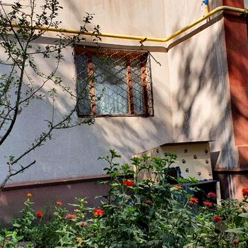 Хвойний пров., 5