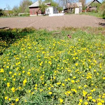 1-поверховий будинок, 4 кімнати, 70 кв. м, ділянка 25 соток