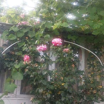 Продаж 3к Дім Святошинська вулиця ЖК Экологичный