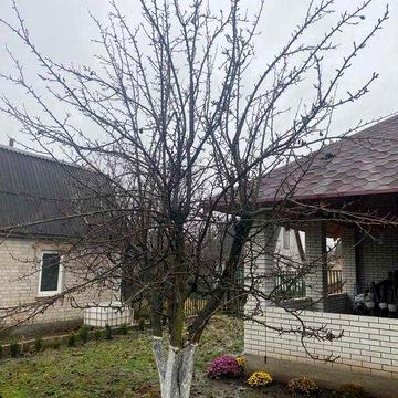 Дача с.Вільнокурянове Вільнянський район