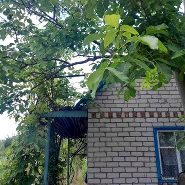 Продажа дачи Светловодск,  сады 3