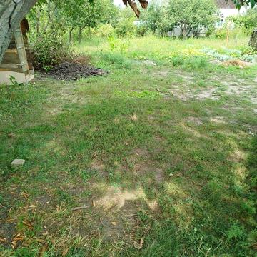 Продам дачу два учасника  Павлоград