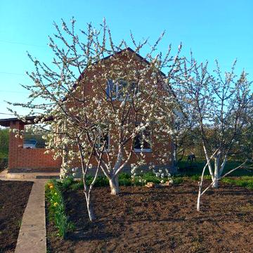 Дача СТ Барвинок