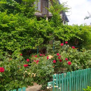 Продам дачу Запорожье с. Владимирское. Великий луг