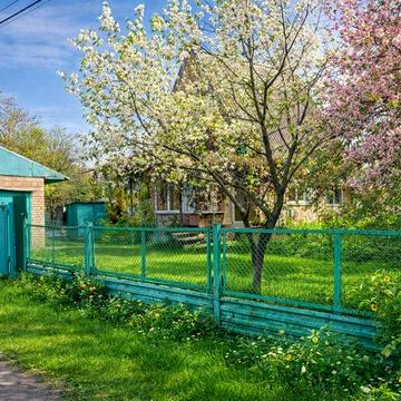 Васильків. Продам дачний будинок із земельною ділянкою.