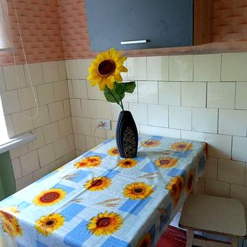 Здам в центрі, паркова зона квартиру з меблями, технікою, колонка нова