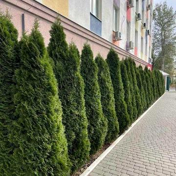 Продам 1к двухуровневую кв ЖК Воробьёвы горы, м Академика Павлова.IN ЖК Воробьёвы горы