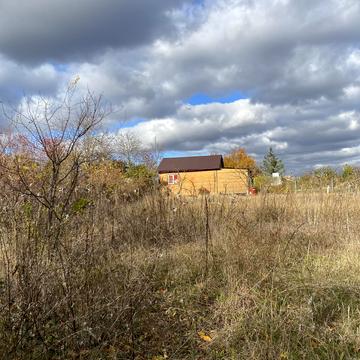 Веселинівська