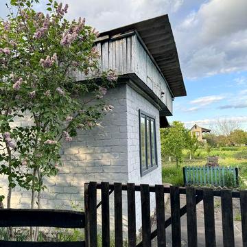 Продамо дачу(дача) «Рябінушка»