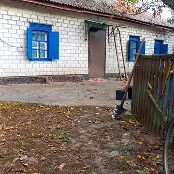 Пиодам дом Максимівка.