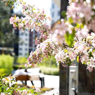 2к квартира в Ірпені на вул. О.Кобилянської 1В.  Synergia City ЖК Синергія Сіті