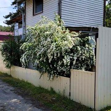 Продається будинок на причалі з прямим виходом на воду