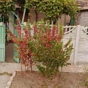 Продам пів будинку