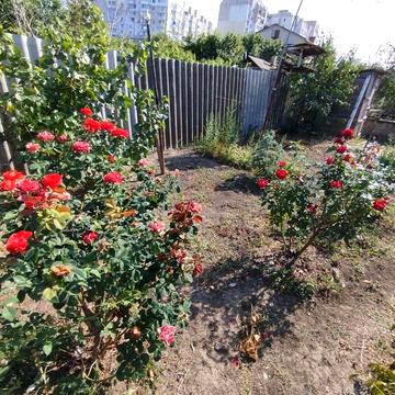 Продается дом на Слободке. 12 соток, Госакт