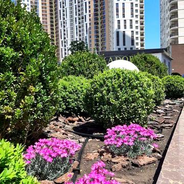 Краснова, Кадорр Сити, 1к.кв.,ипподром,68Жемчужина ЖК 68 жемчужина