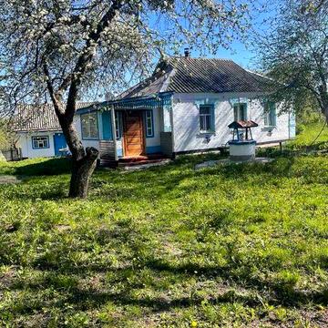 Продається затишний будинок на Батьківщині Т Г Шевченка