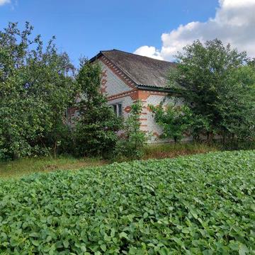 Житловий будинок з господарськими будівлями