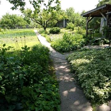 Продам  будинок  в селі Ольшаниця