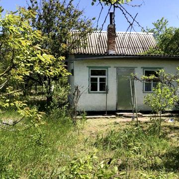 Дача с.власовка возле борісполя