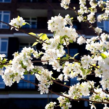 Ірпінь. 1к інвестиція в новий будинок Розстрочка на 3 роки ЖК Синергія Сіті