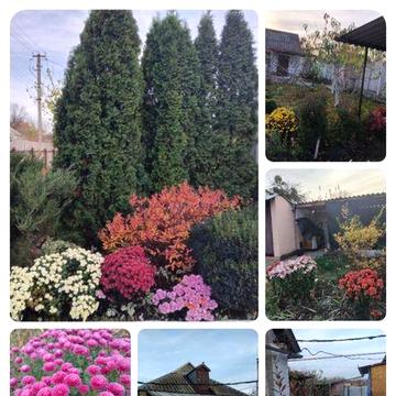 гарний будинок зі зручностями