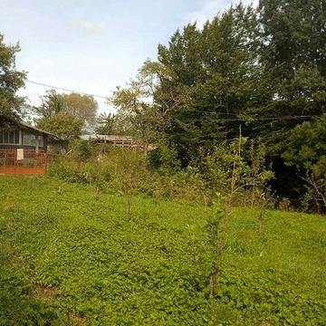 Продається приватизована хата в селі монастирець стрийського району