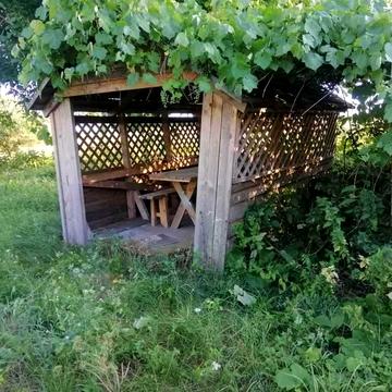 Продам терміново! Будинок/дача в селі Виграїв