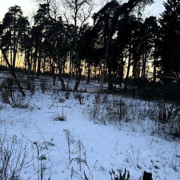 Земельна ділянка та будинок на межі з лісом 20 соток с.Геронимівка