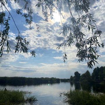 Продам дачний будинок СТ "Хвиля" с. Комарівка