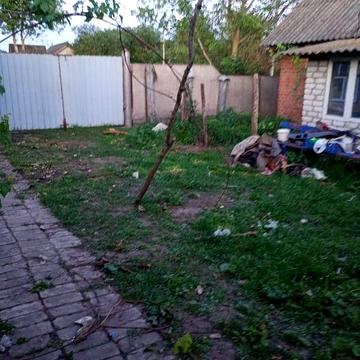 Здається будинок з вівчаркою