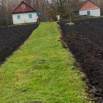 Будинок с.Сіянці