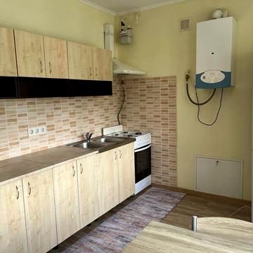 Оренда 1-к з двором та зоною мангалу