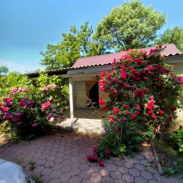 Дениса Максишка вул. (Марії Демченко)