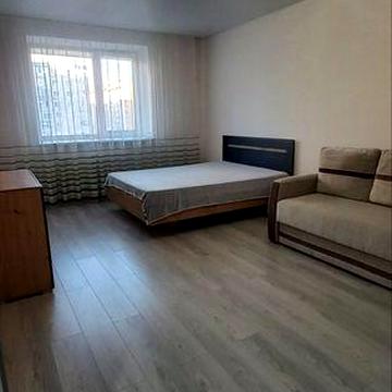 Здається квартира на Поділлі можна з тваринкою