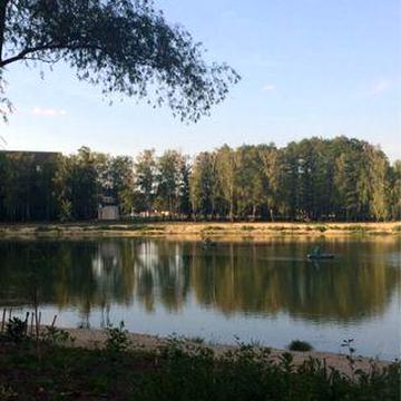 Оренда 1 кім квартири Бровари