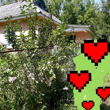 Продам будинок Жмеринський район Вінницька область