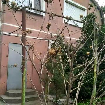 Продам міцний будинок