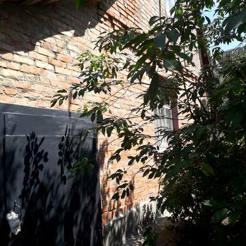 Весна в розгарі. Дача на массиві біля лісу та річки Рось.