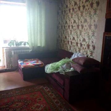 Здається 1к дендропарк