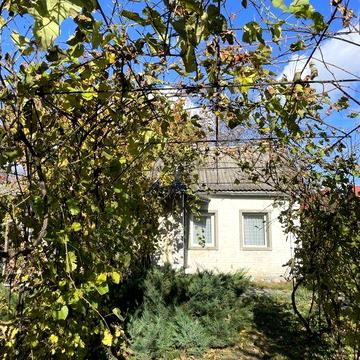 Здам будинок в старій Боярці, можно з собакою.