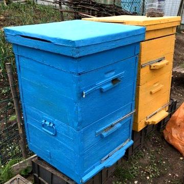 Будинок з пасікой