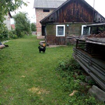 Будинок з присадибною ділянкою