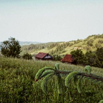 Будинок з 0.6 га землі в Карпатах, тихе місце біля Путили